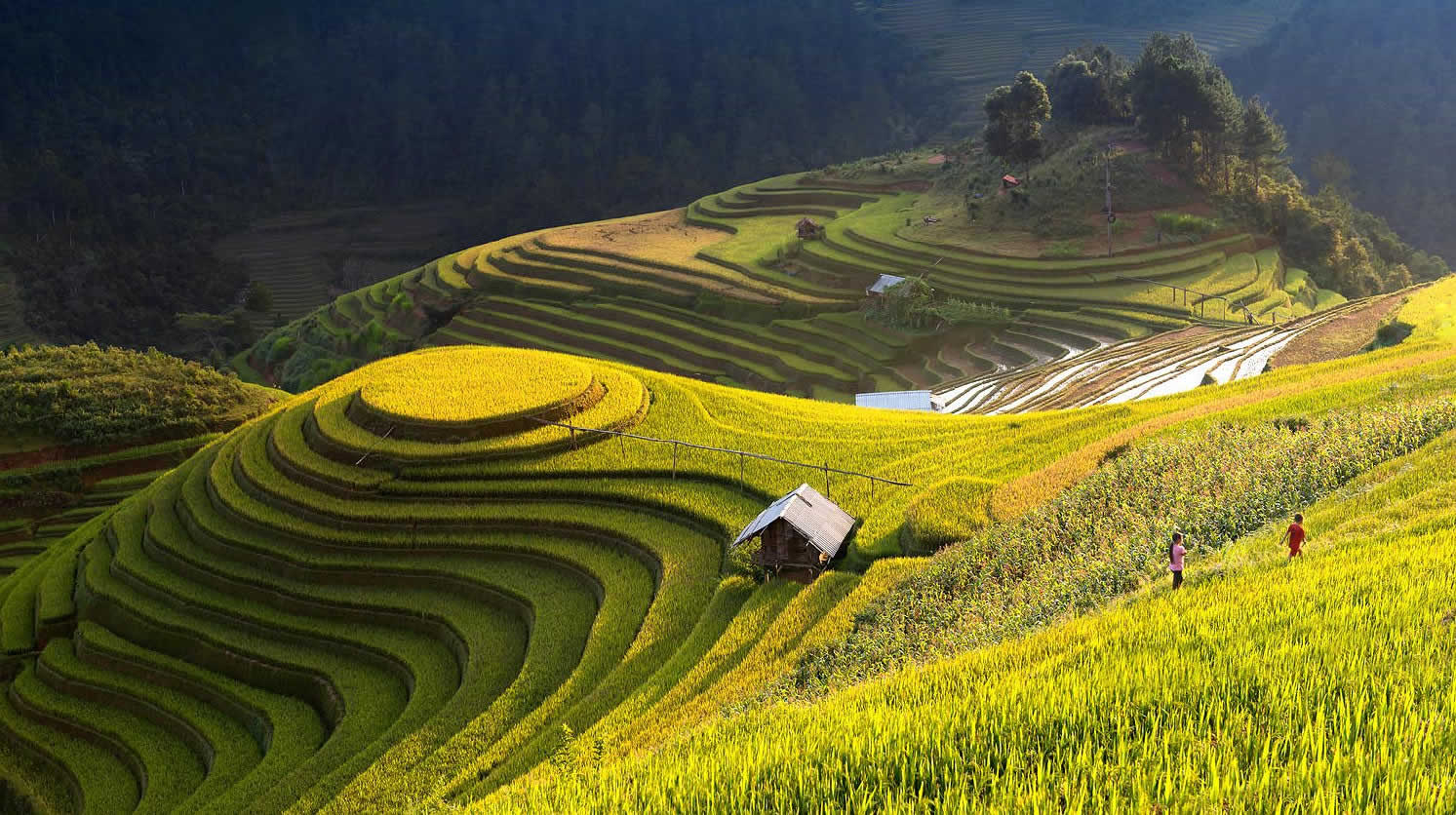 S. S. İnegöl Üreten Çiftçiler Tarımsal Kalkınma Kooperatifi